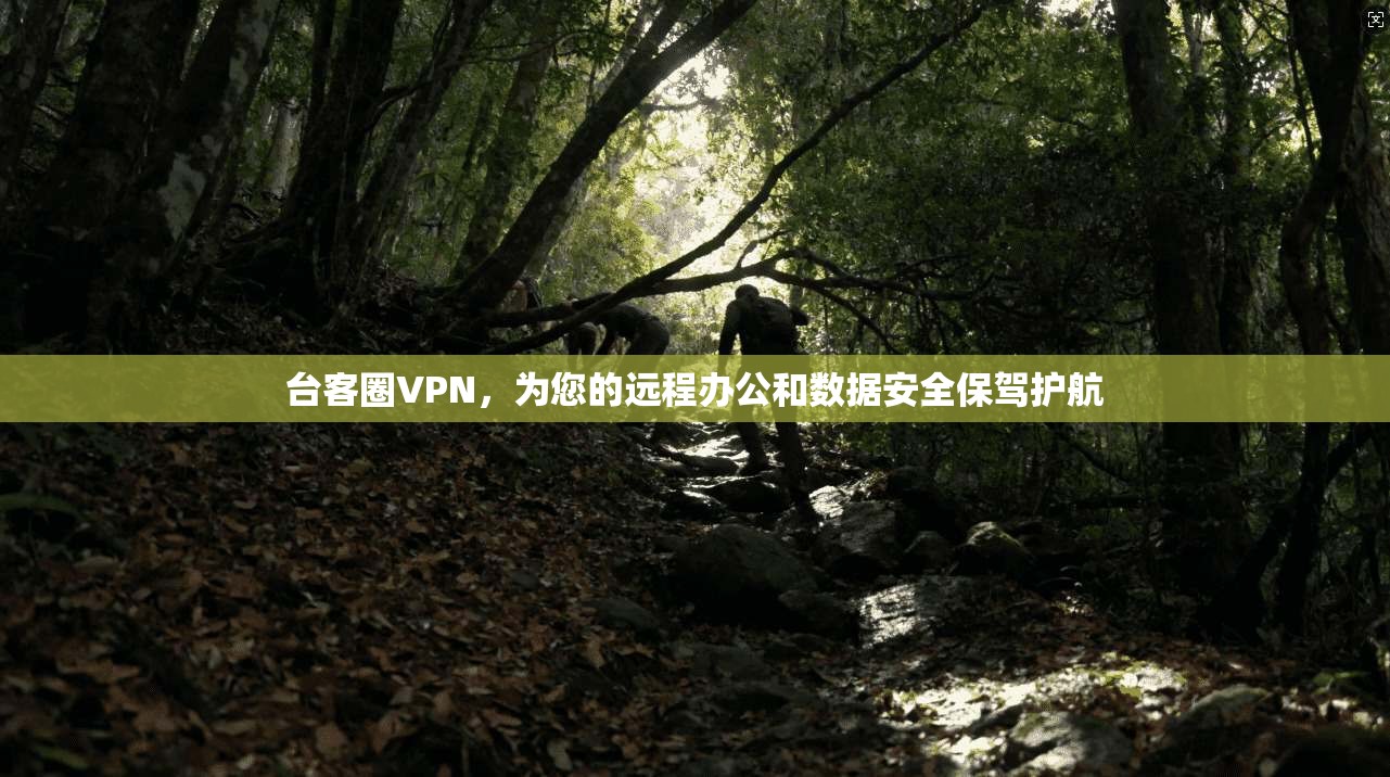 台客圈VPN，为您的远程办公和数据安全保驾护航  第1张