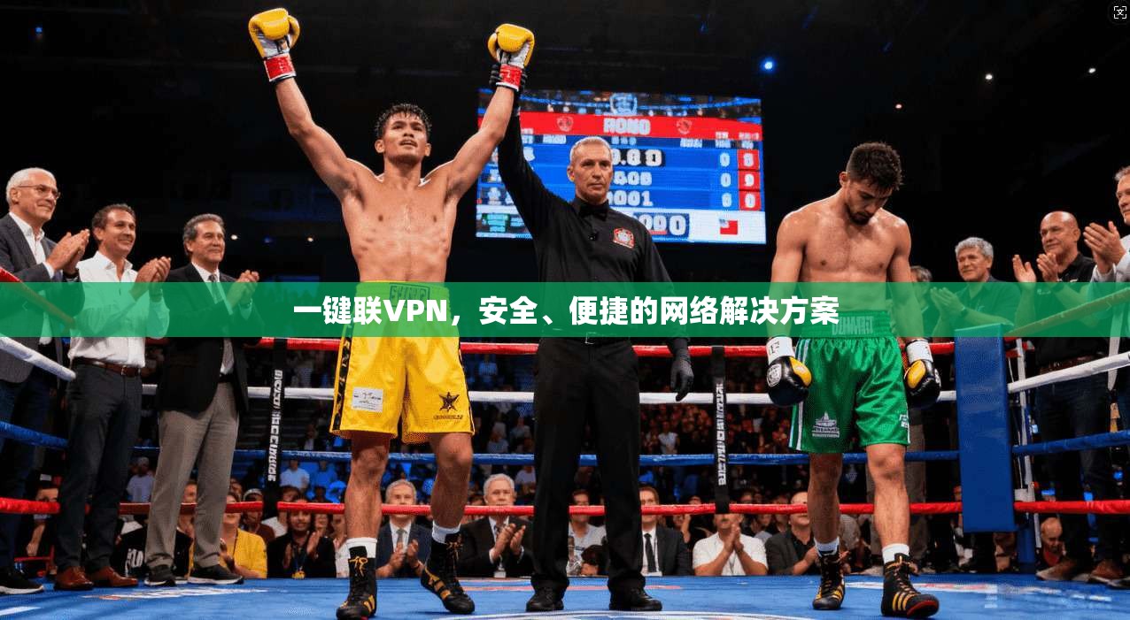 一键联VPN，安全、便捷的网络解决方案  第1张