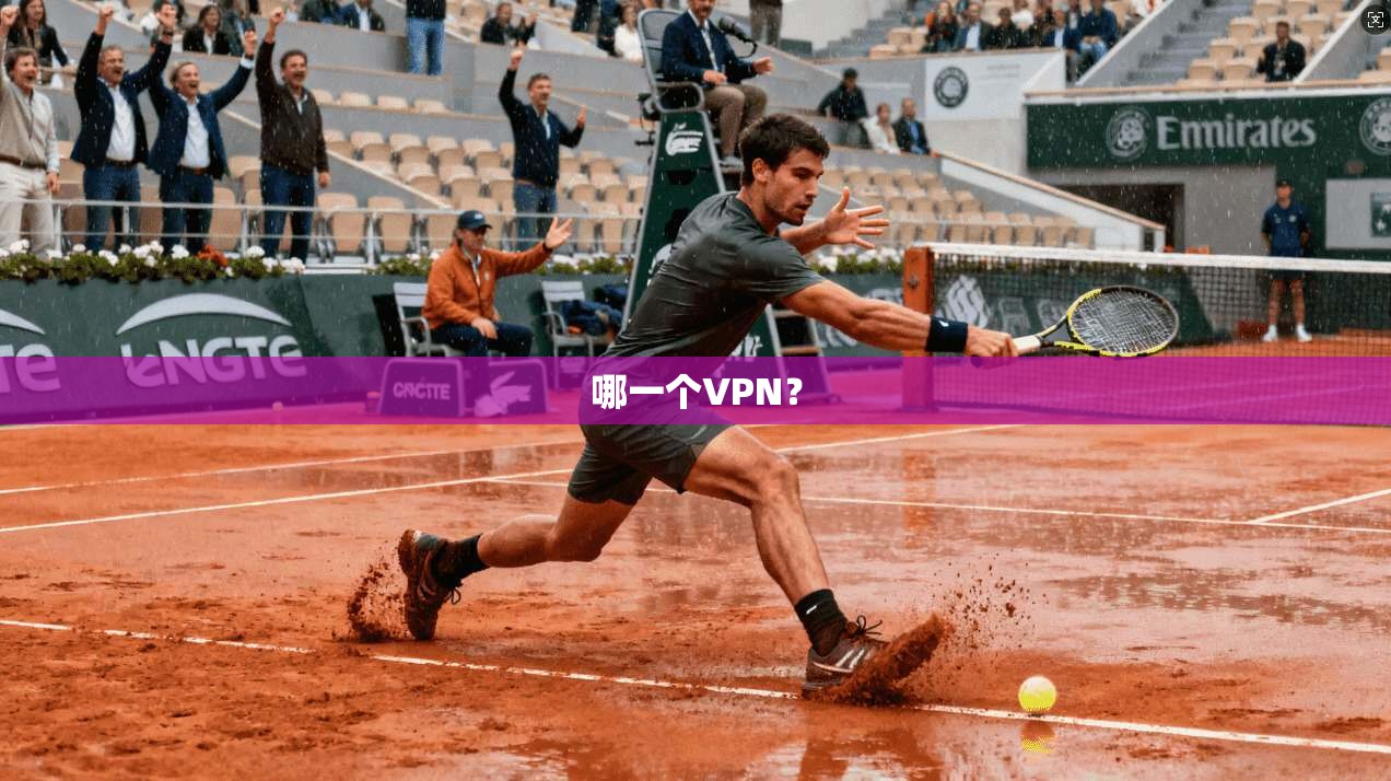 哪一个VPN？  第1张