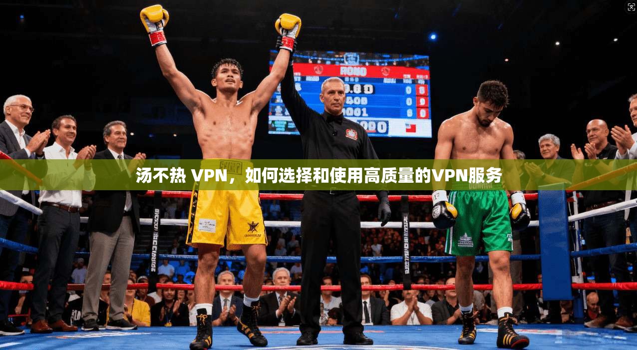 汤不热 VPN,如何选择和使用高质量的VPN服务 第1张 汤不热 VPN,如何选择和使用高质量的VPN服务 第1张