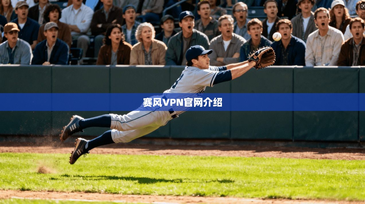 赛风VPN官网介绍  第1张