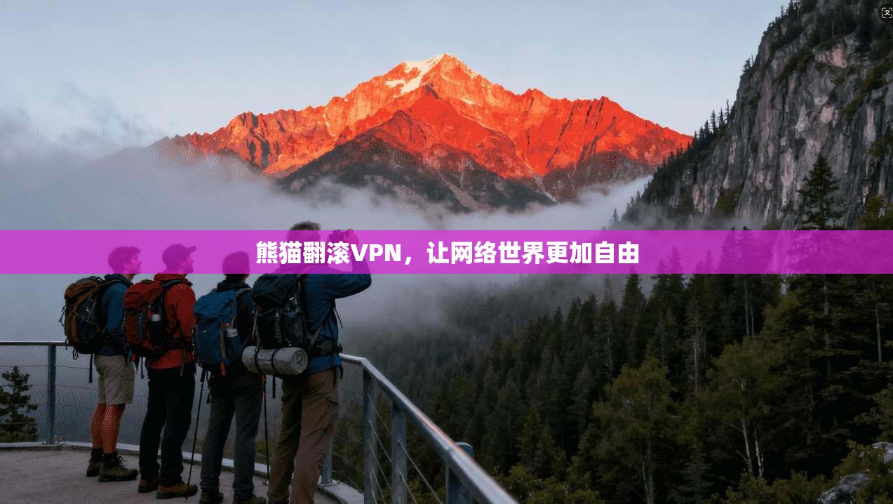 熊猫翻滚VPN，让网络世界更加自由  第1张