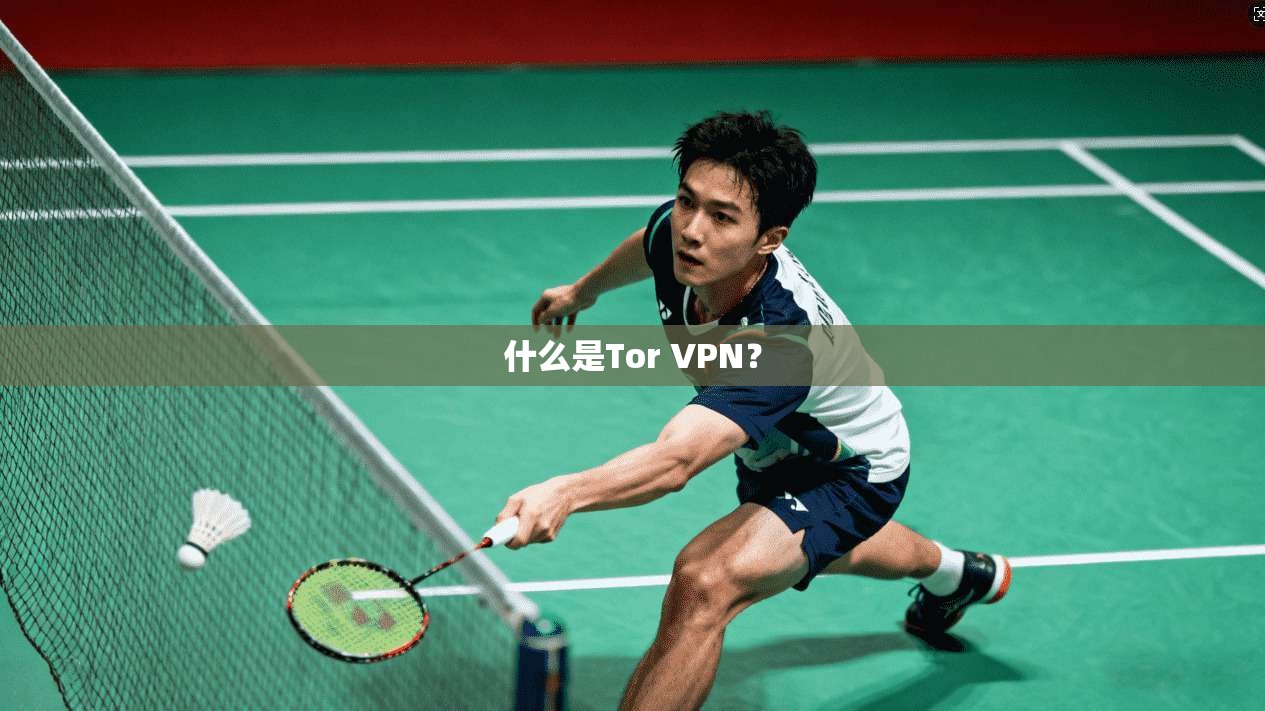 什么是Tor VPN？  第1张