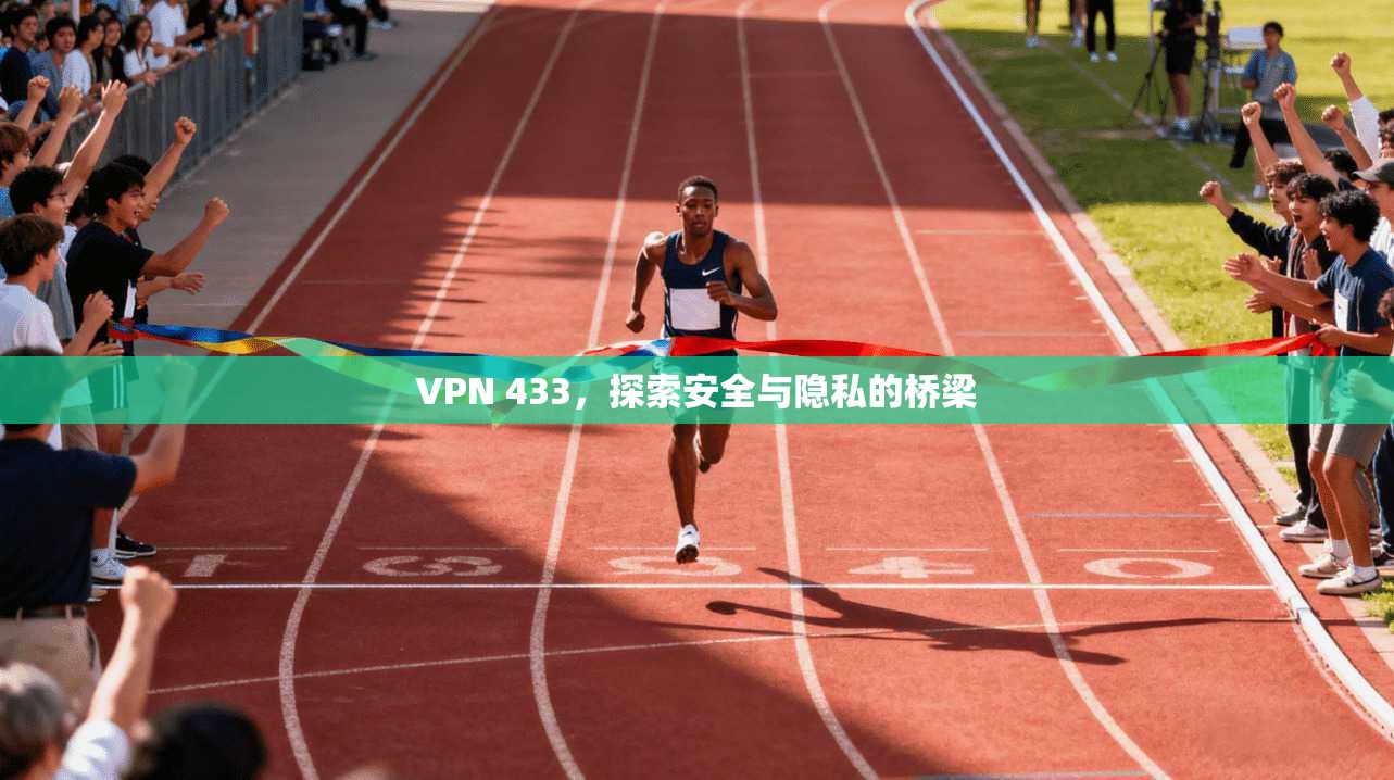 VPN 433，探索安全与隐私的桥梁  第1张