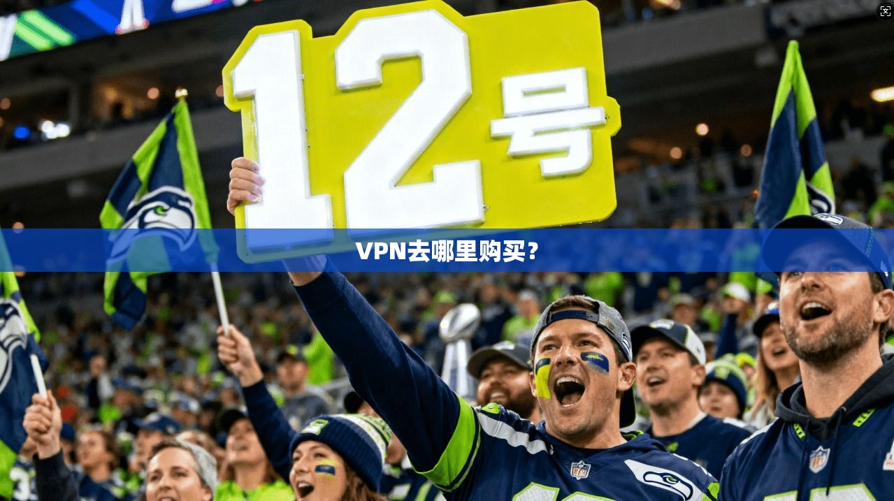 VPN去哪里购买？  第1张