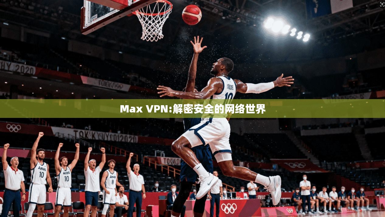 Max VPN:解密安全的网络世界  第1张