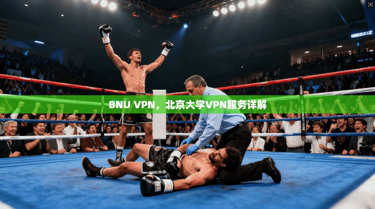 BNU VPN，北京大学VPN服务详解  第1张