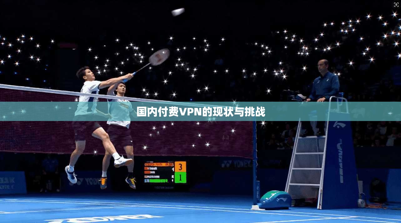 国内付费VPN的现状与挑战 第1张 国内付费VPN的现状与挑战 第1张