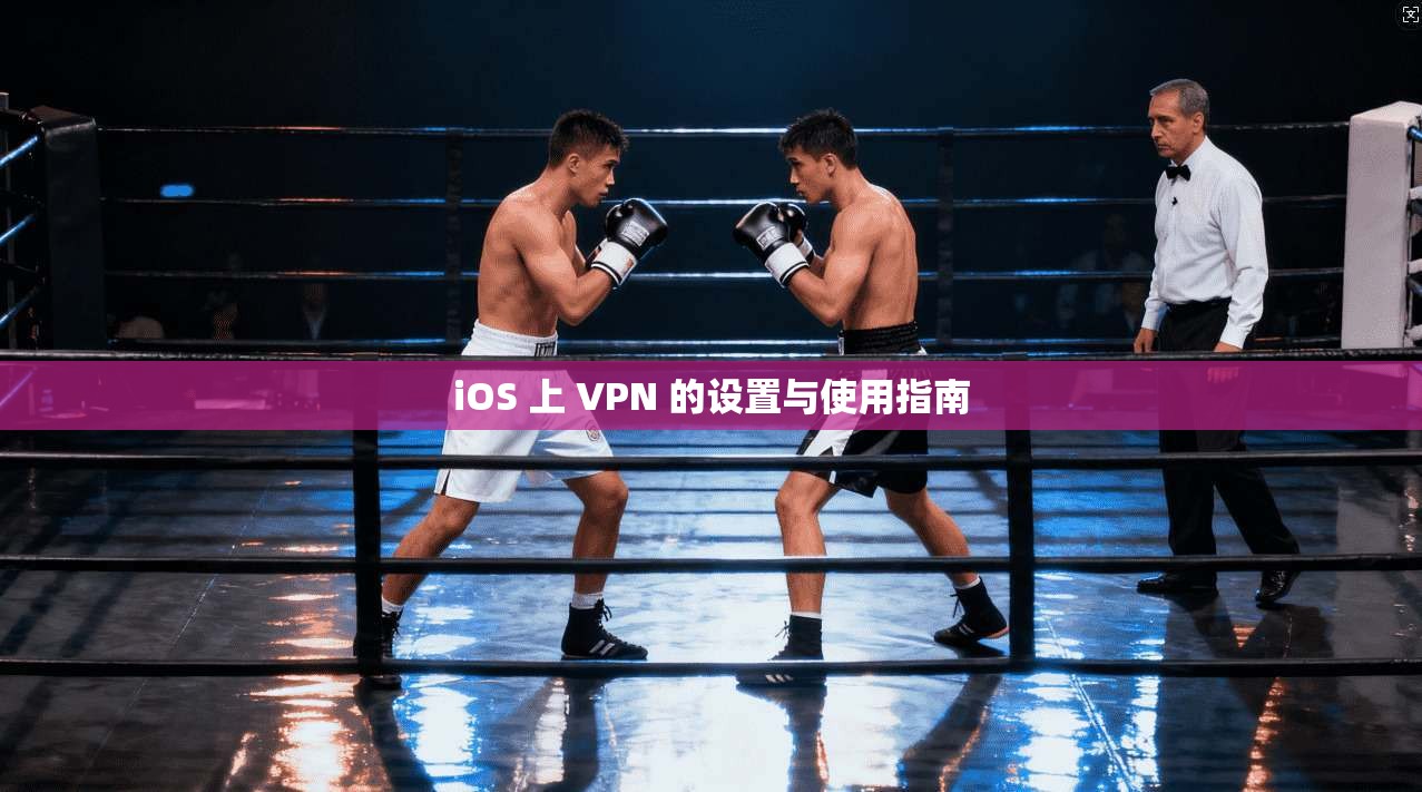 iOS 上 VPN 的设置与使用指南  第1张