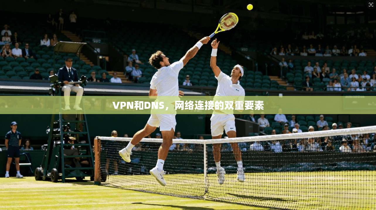 VPN和DNS，网络连接的双重要素  第1张