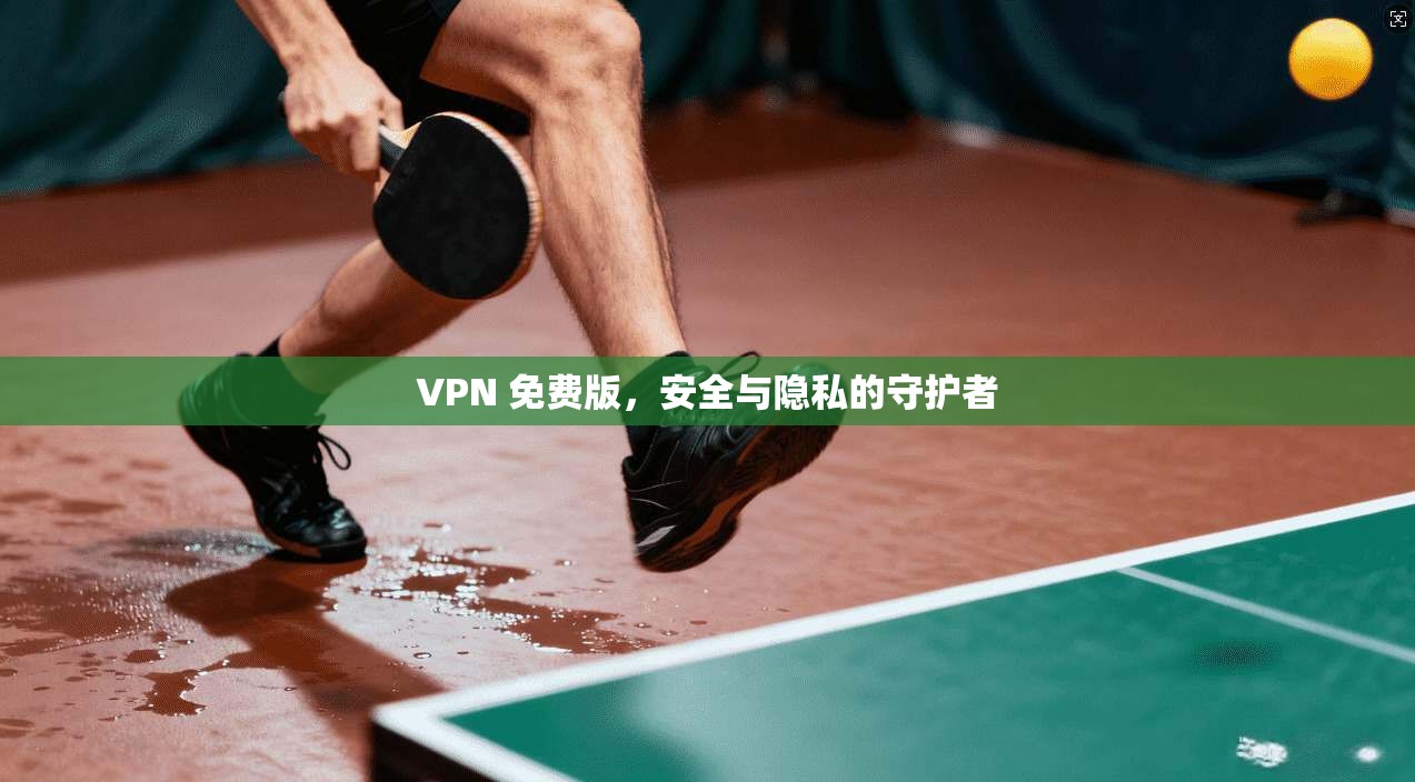 VPN 免费版，安全与隐私的守护者  第1张