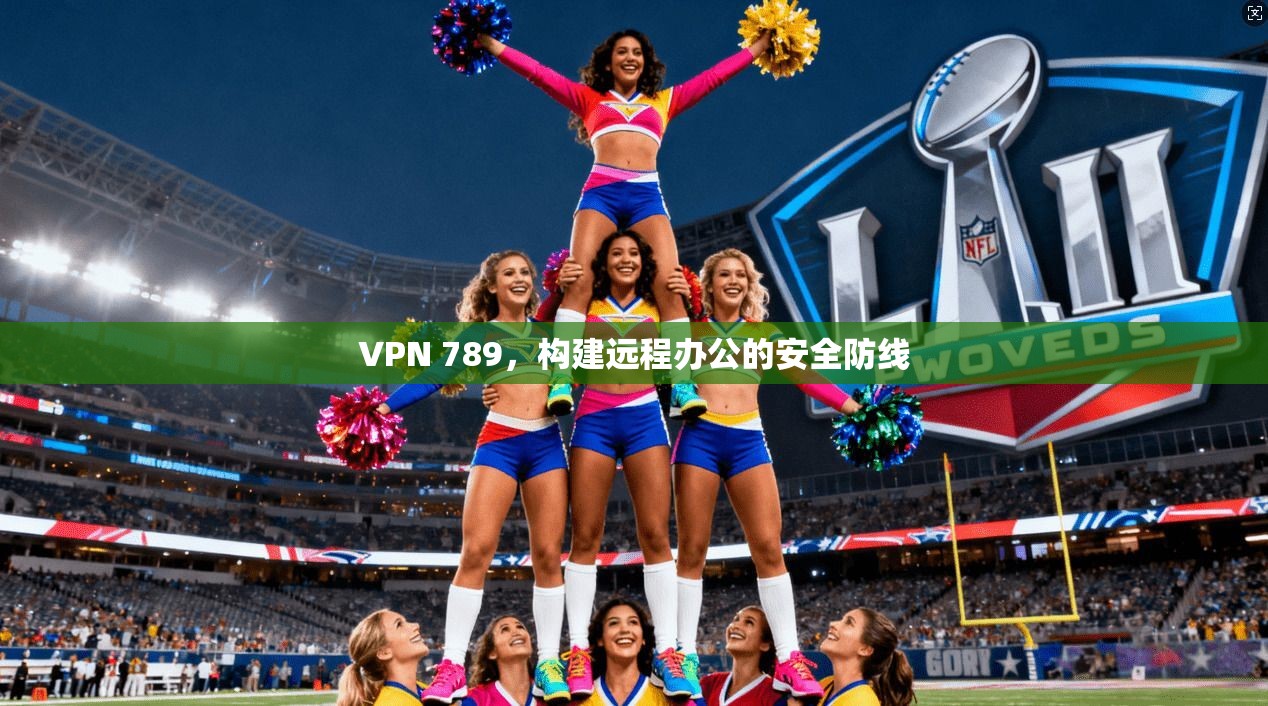 VPN 789,构建远程办公的安全防线 第1张 VPN 789,构建远程办公的安全防线 第1张