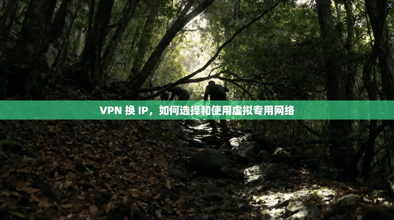 VPN 换 IP，如何选择和使用虚拟专用网络  第1张