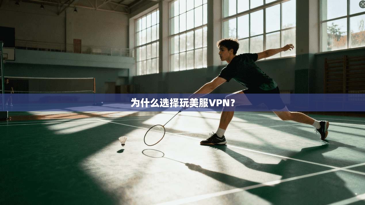 为什么选择玩美服VPN？  第1张