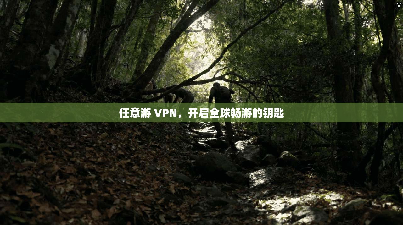 任意游 VPN,开启全球畅游的钥匙 第1张 任意游 VPN,开启全球畅游的钥匙 第1张