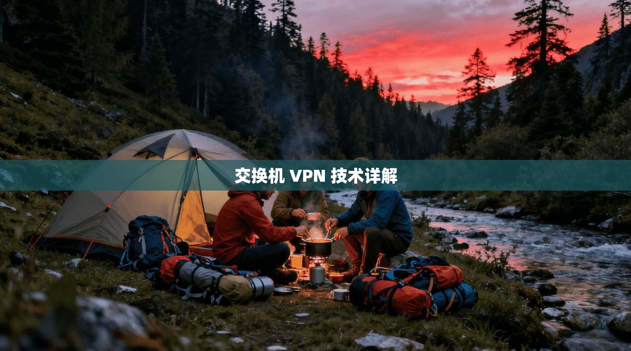 交换机 VPN 技术详解  第1张