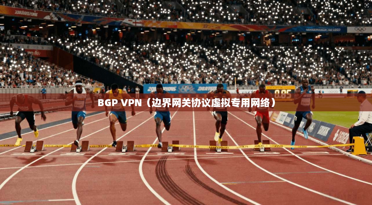 BGP VPN（边界网关协议虚拟专用网络）  第1张