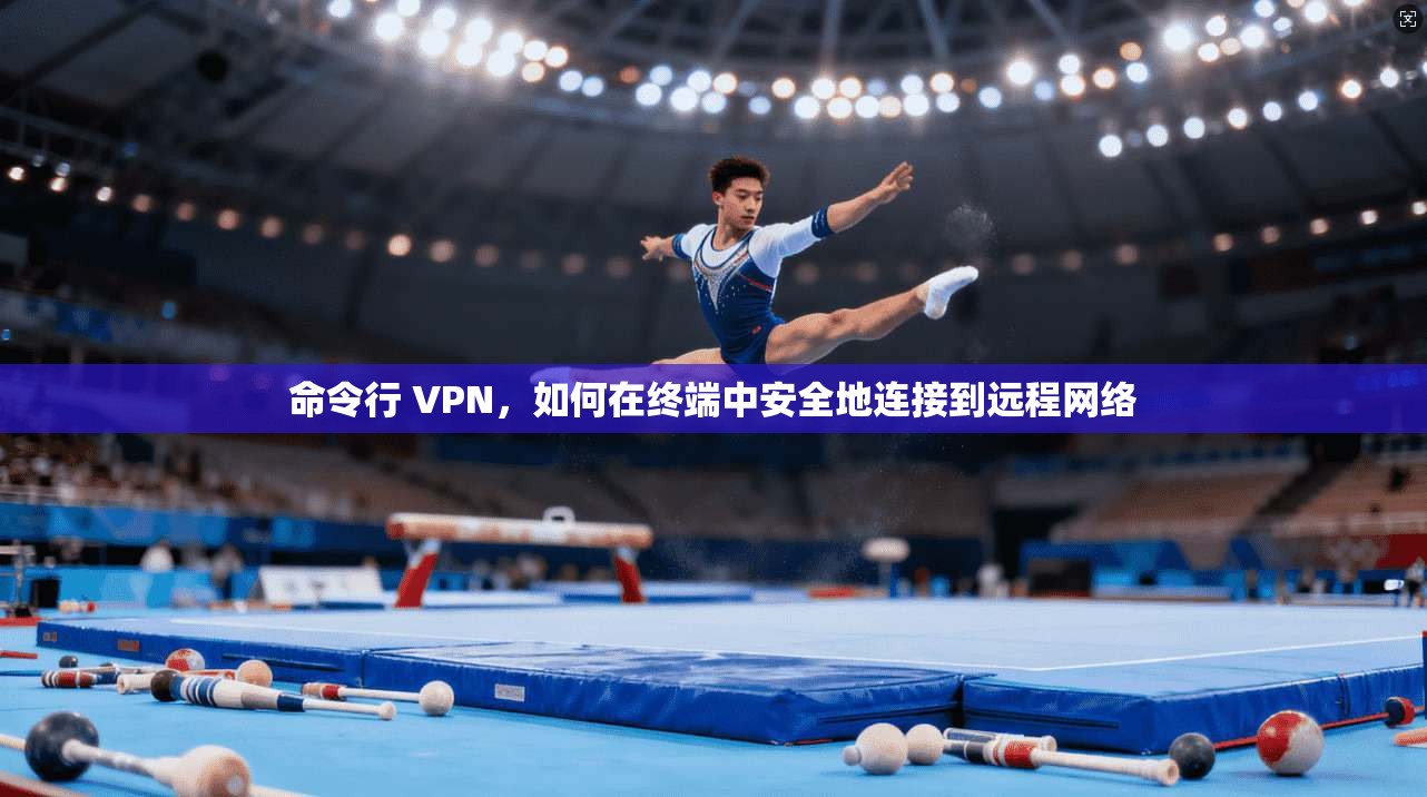 命令行 VPN，如何在终端中安全地连接到远程网络  第1张