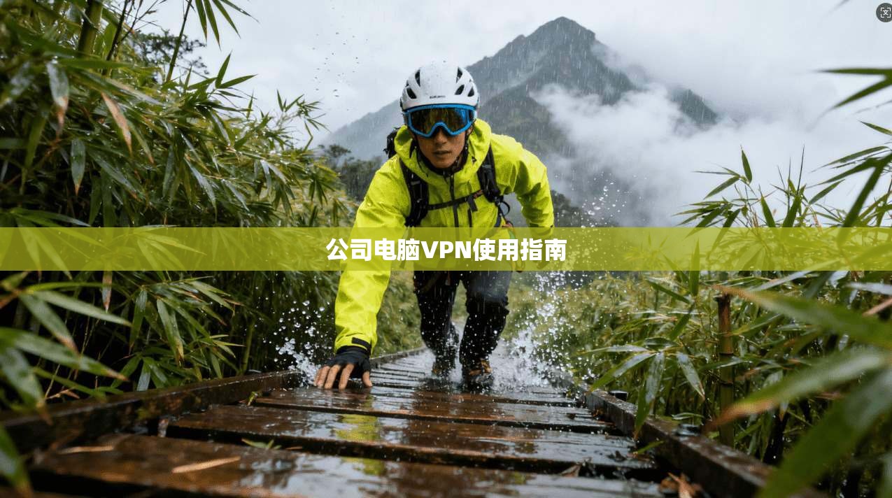 公司电脑VPN使用指南  第1张