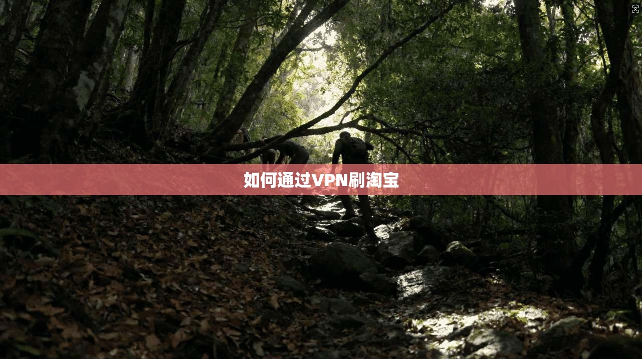 如何通过VPN刷淘宝  第1张