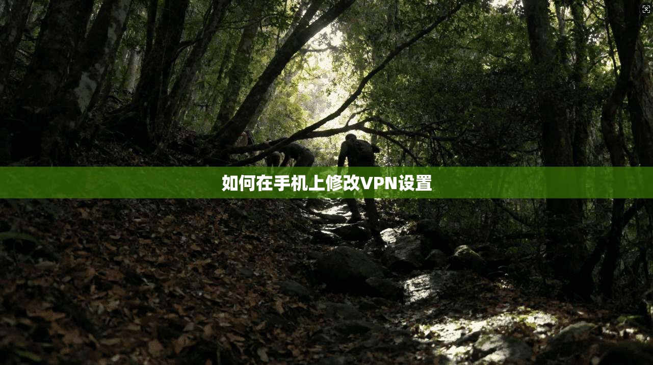 如何在手机上修改VPN设置  第1张