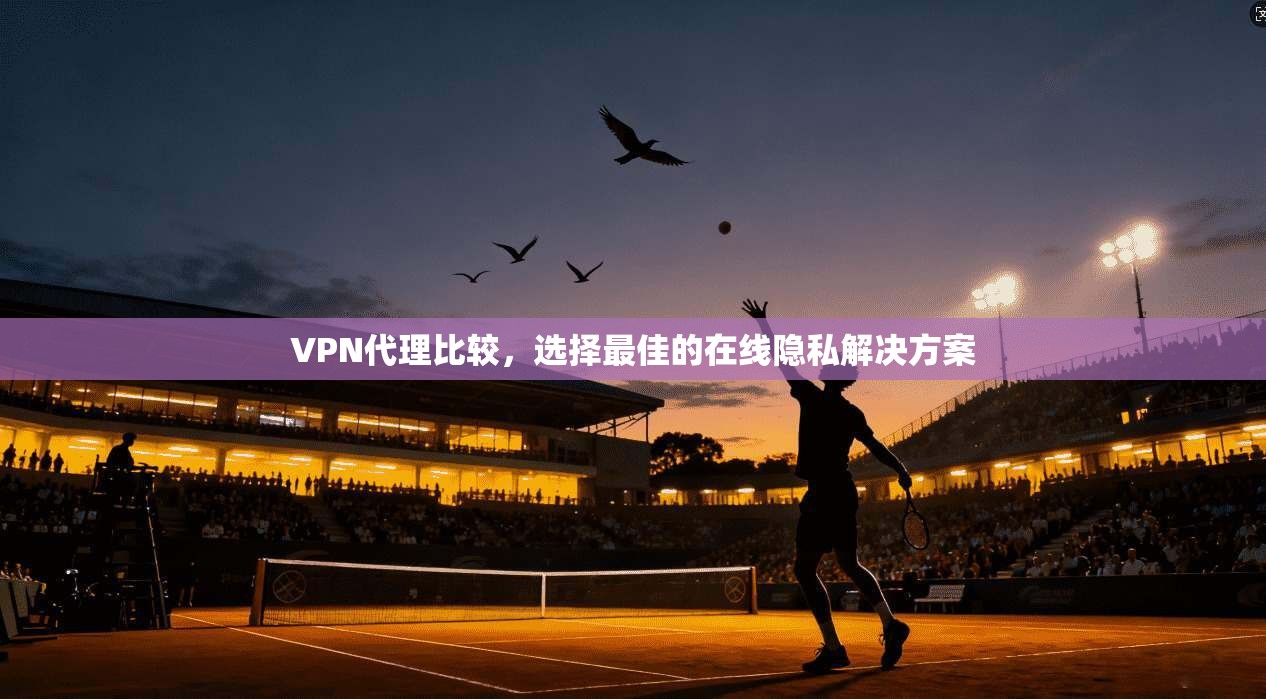 VPN代理比较，选择最佳的在线隐私解决方案  第1张