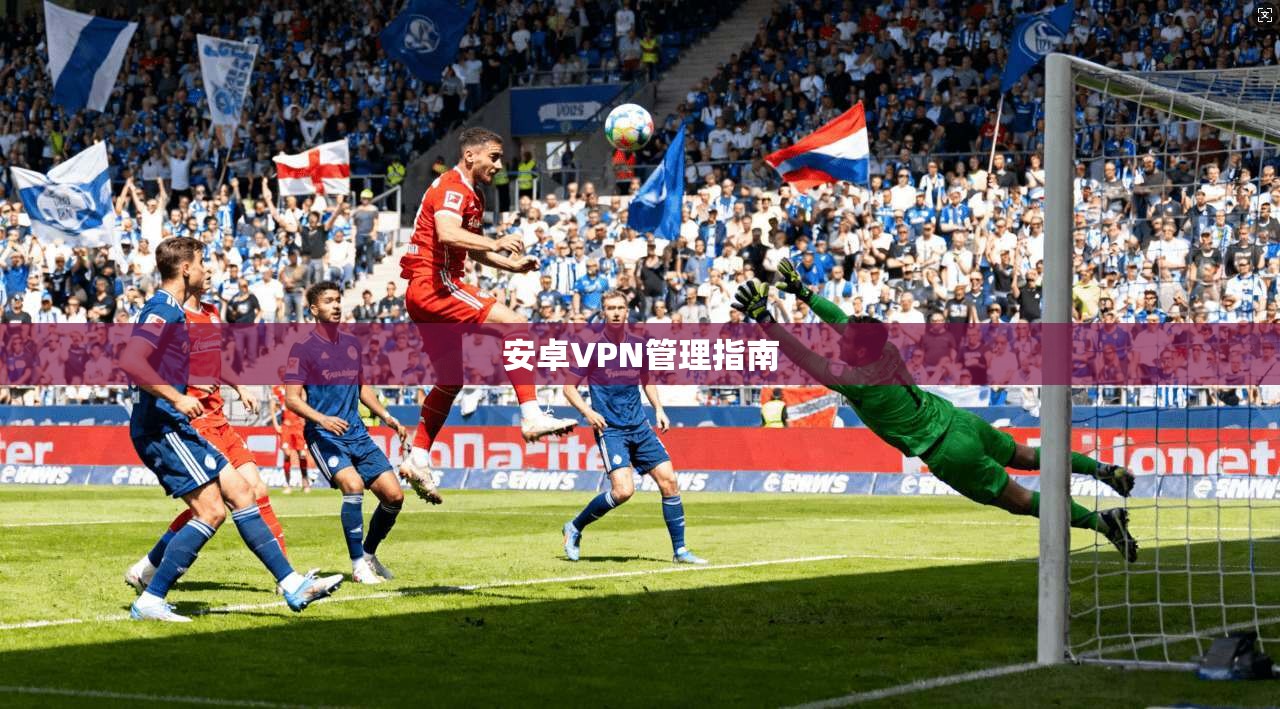 安卓VPN管理指南  第1张