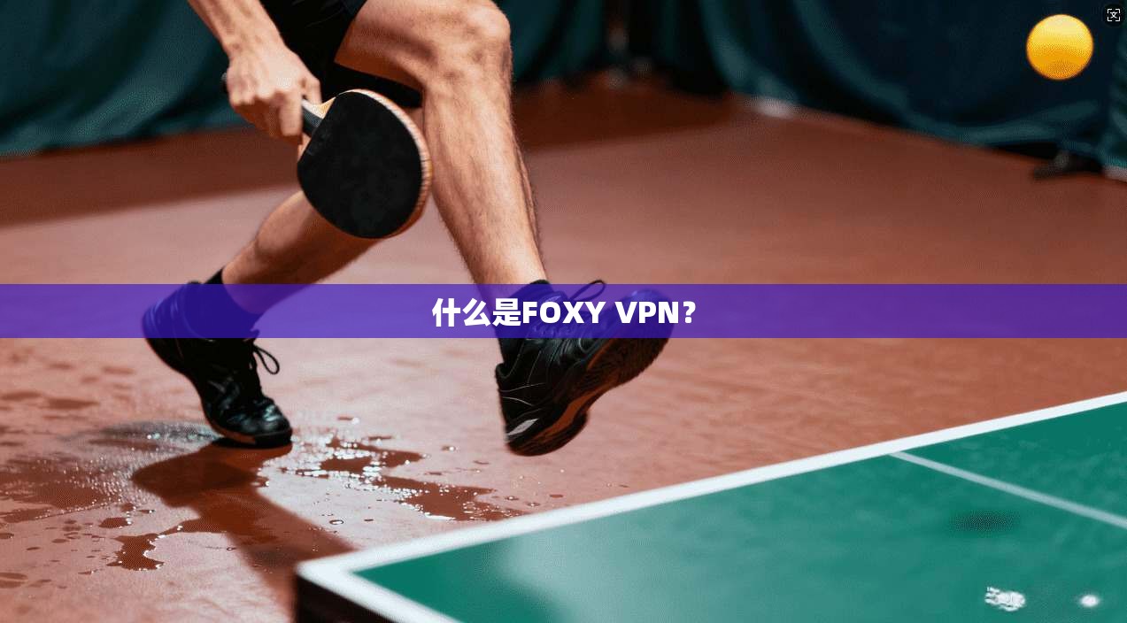 什么是FOXY VPN？  第1张