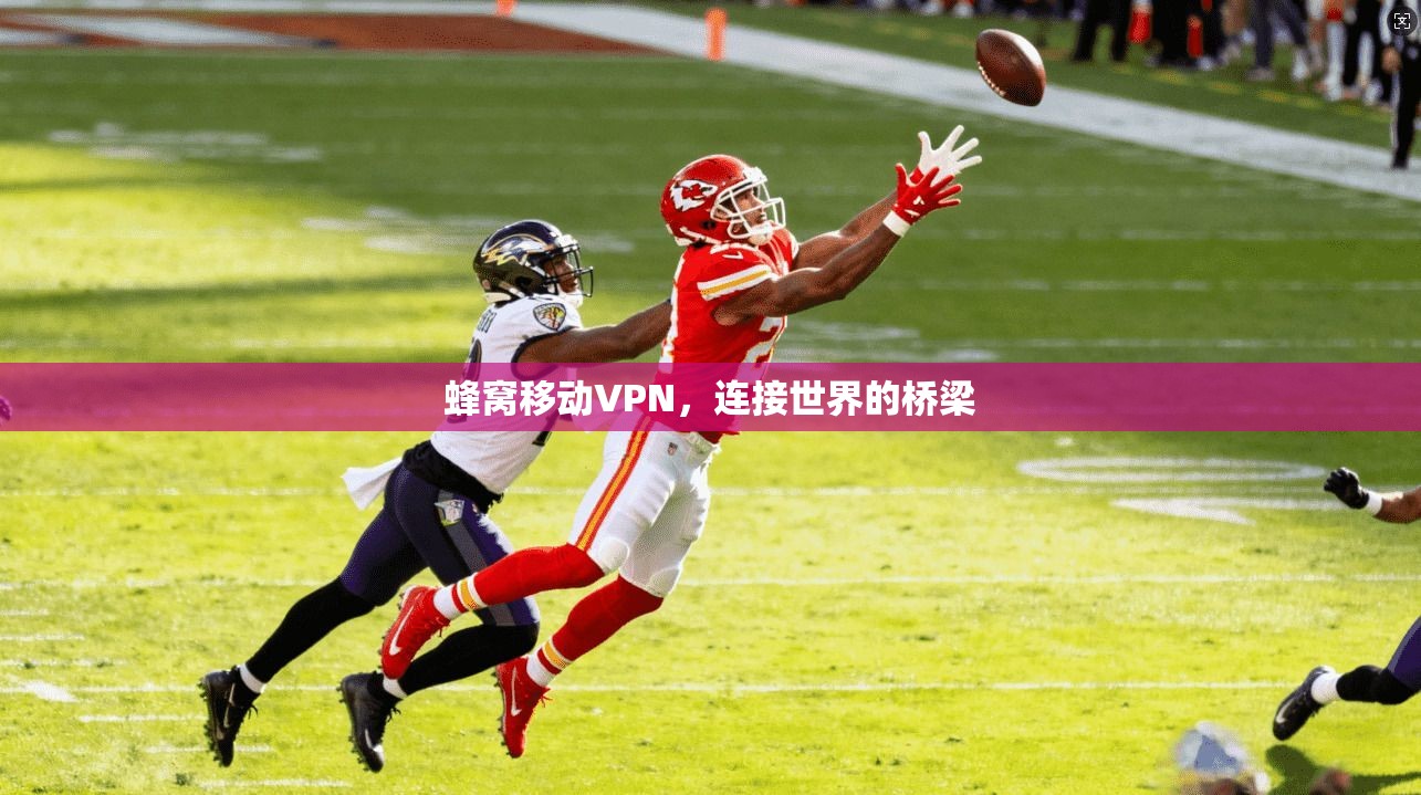 蜂窝移动VPN，连接世界的桥梁  第1张