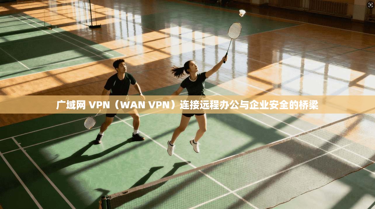 广域网 VPN（WAN VPN）连接远程办公与企业安全的桥梁  第1张