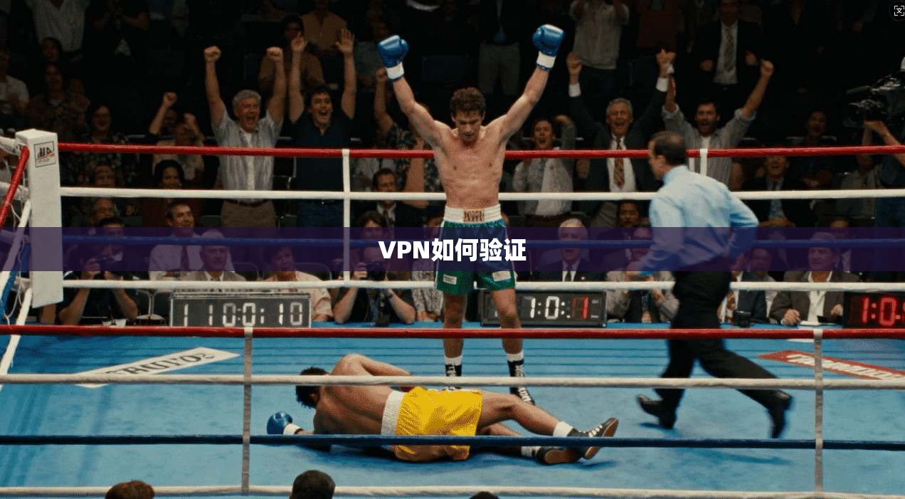 VPN如何验证  第1张