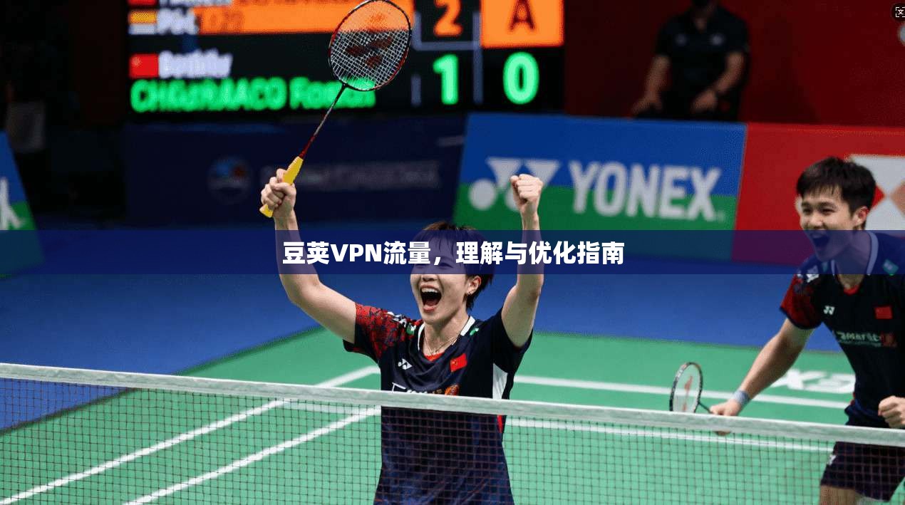 豆荚VPN流量，理解与优化指南  第1张