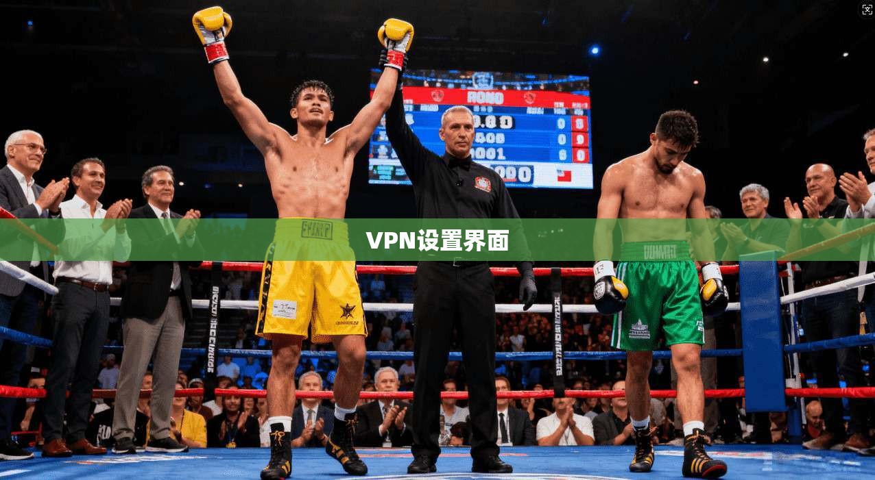 VPN设置界面  第1张