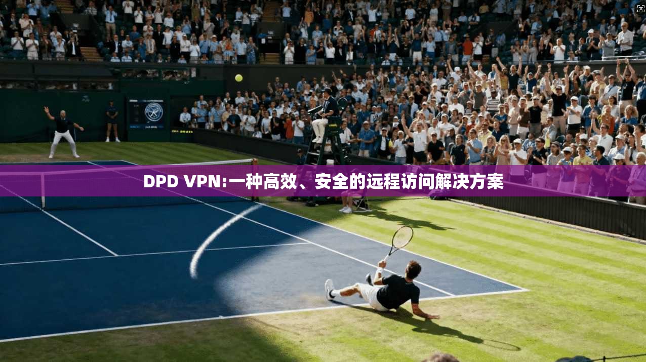 DPD VPN:一种高效、安全的远程访问解决方案  第1张