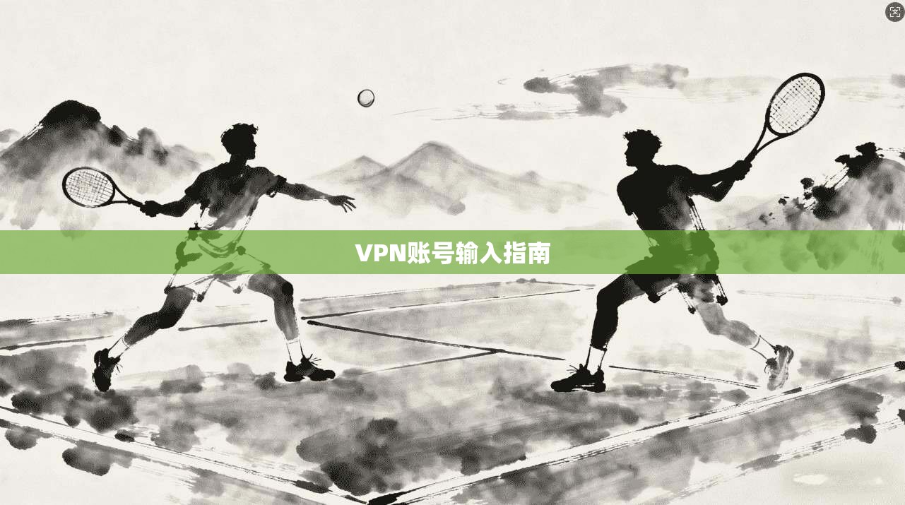 VPN账号输入指南  第1张