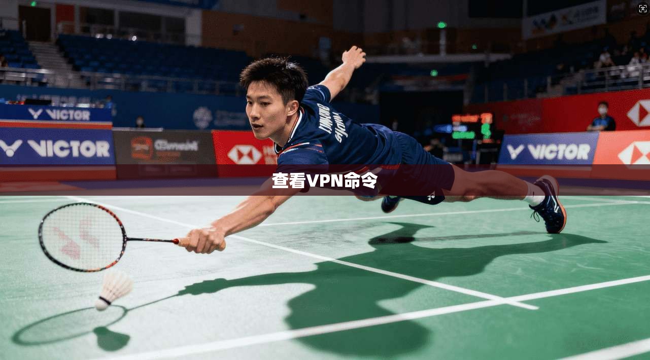 查看VPN命令 第1张 查看VPN命令 第1张