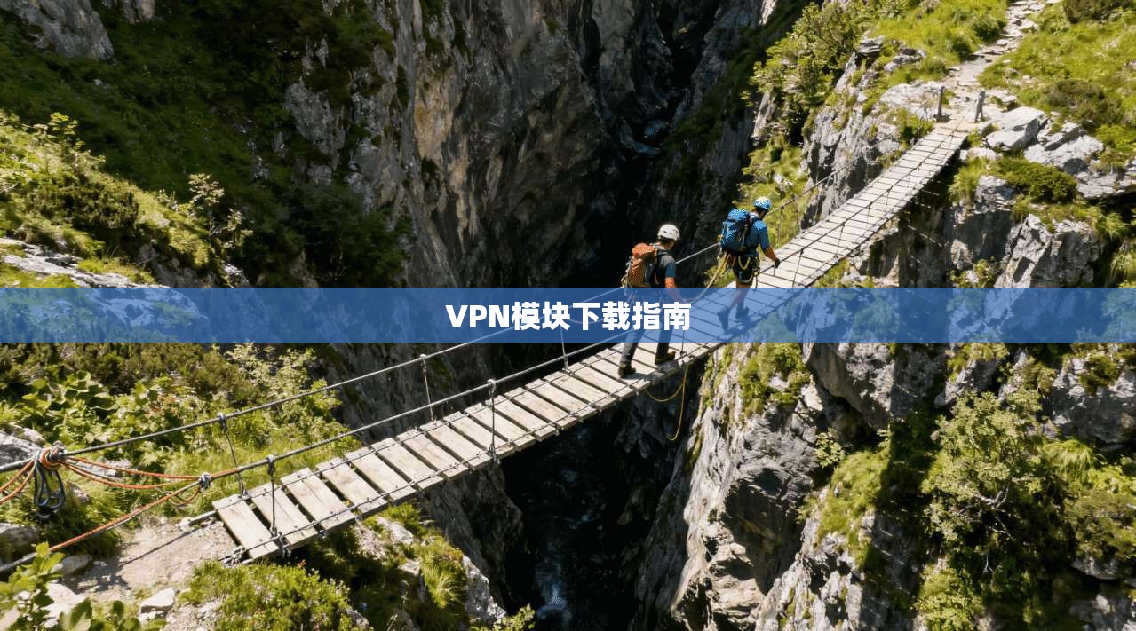 VPN模块下载指南  第1张