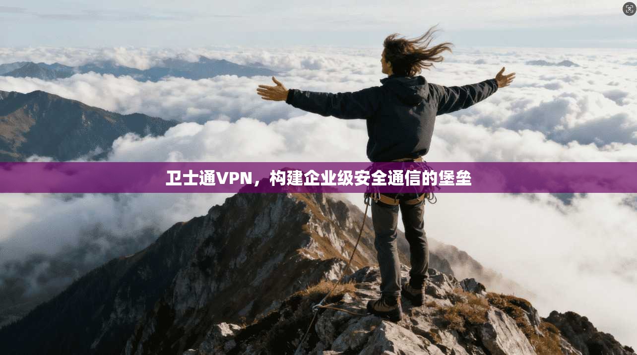 卫士通VPN，构建企业级安全通信的堡垒  第1张