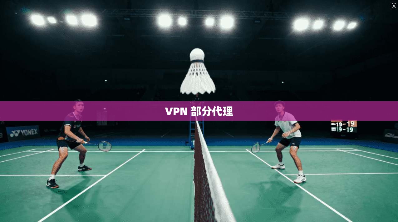 VPN 部分代理  第1张