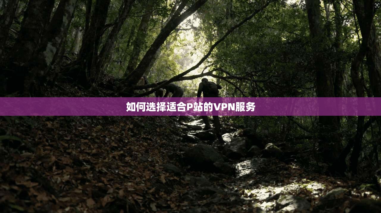 如何选择适合P站的VPN服务  第1张
