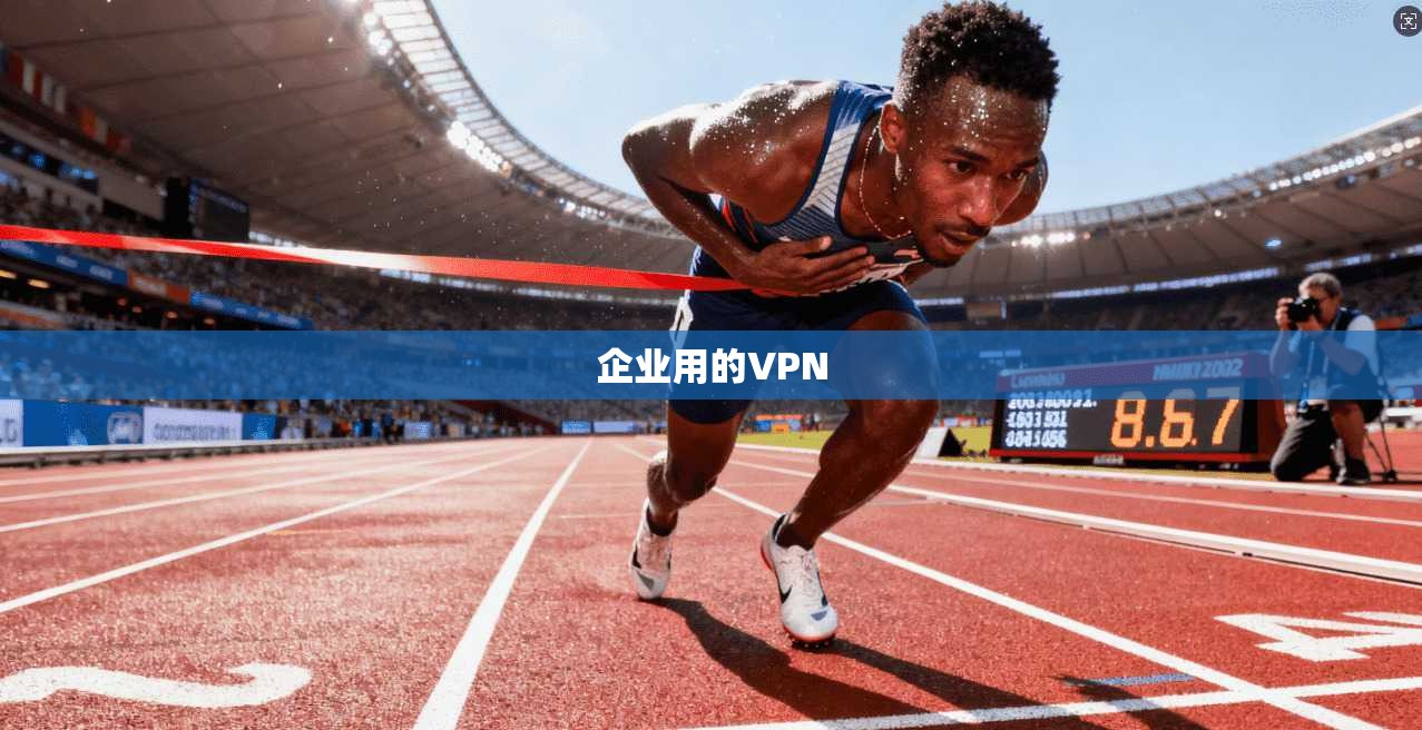 企业用的VPN  第1张