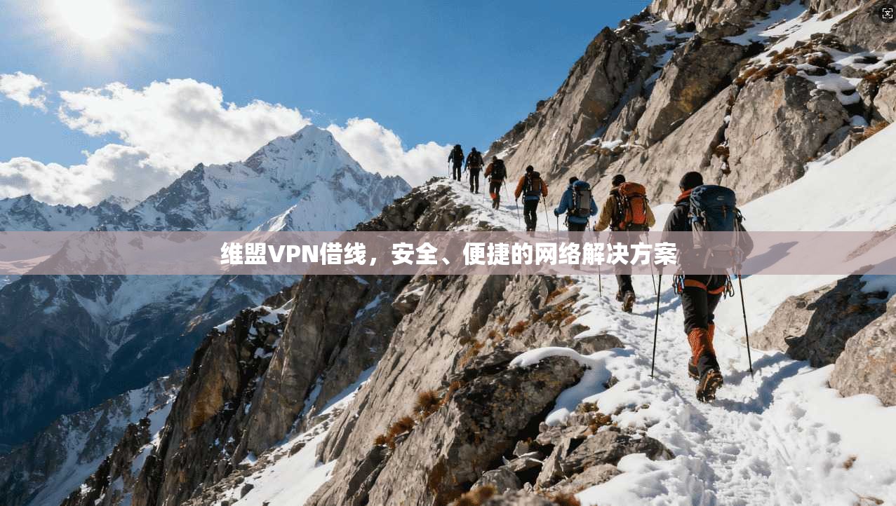 维盟VPN借线，安全、便捷的网络解决方案  第1张