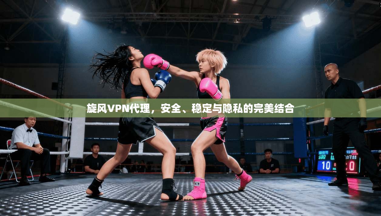 旋风VPN代理，安全、稳定与隐私的完美结合  第1张
