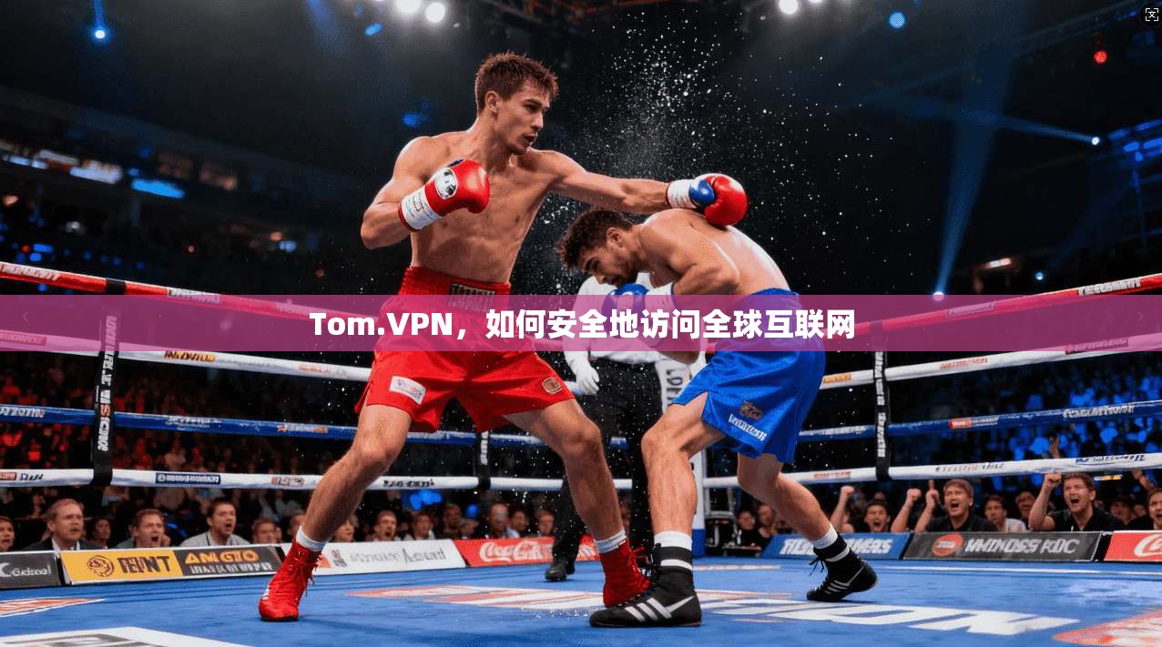Tom.VPN,如何安全地访问全球互联网 第1张 Tom.VPN,如何安全地访问全球互联网 第1张
