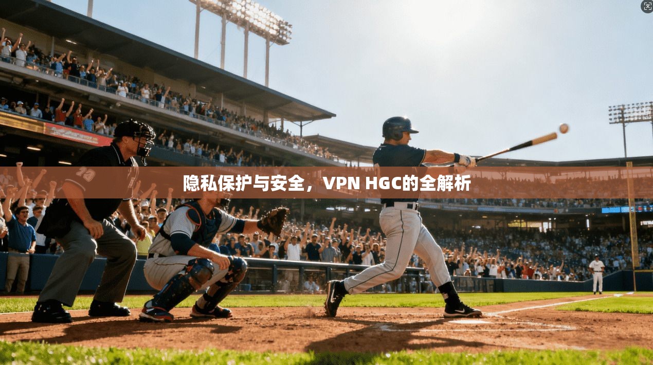 隐私保护与安全，VPN HGC的全解析  第1张