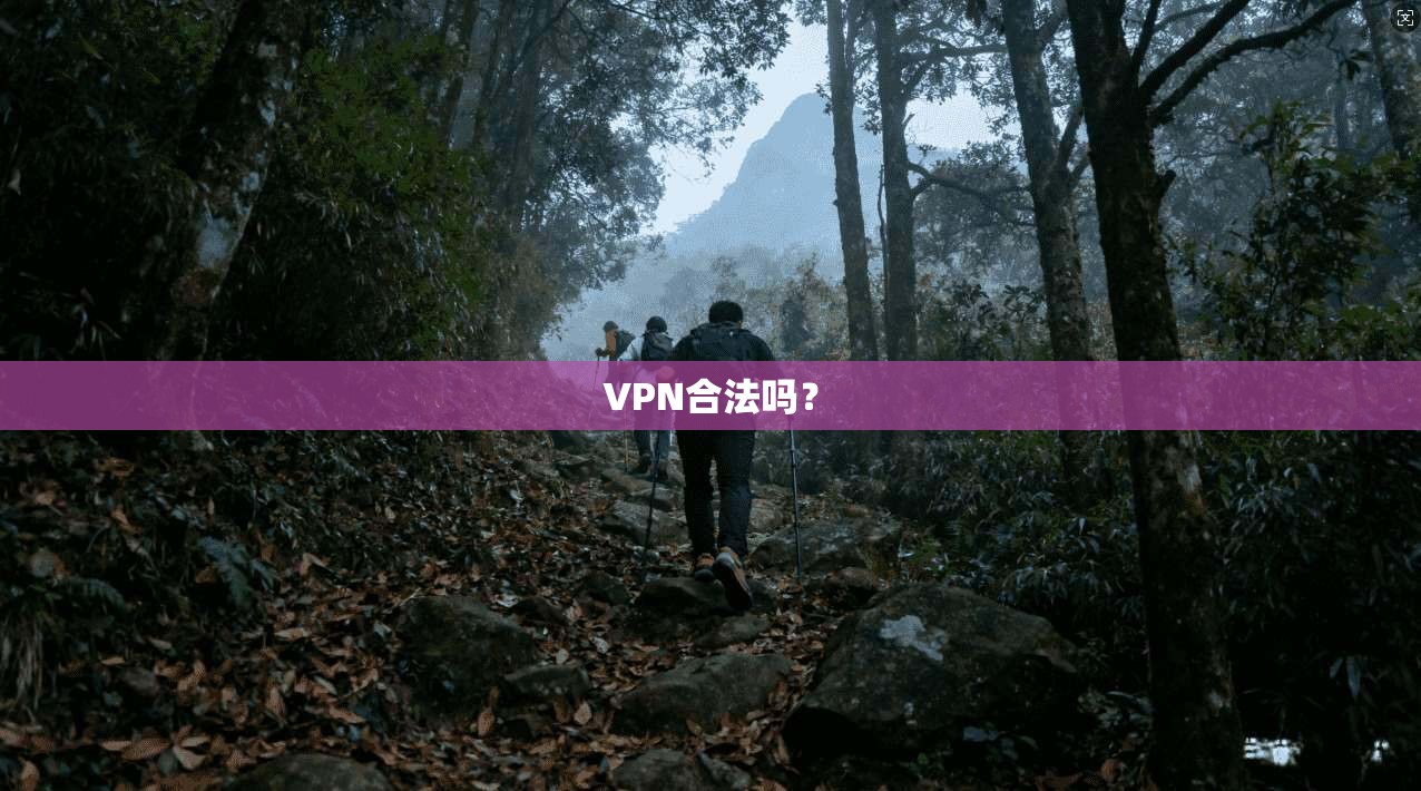 VPN合法吗？  第1张
