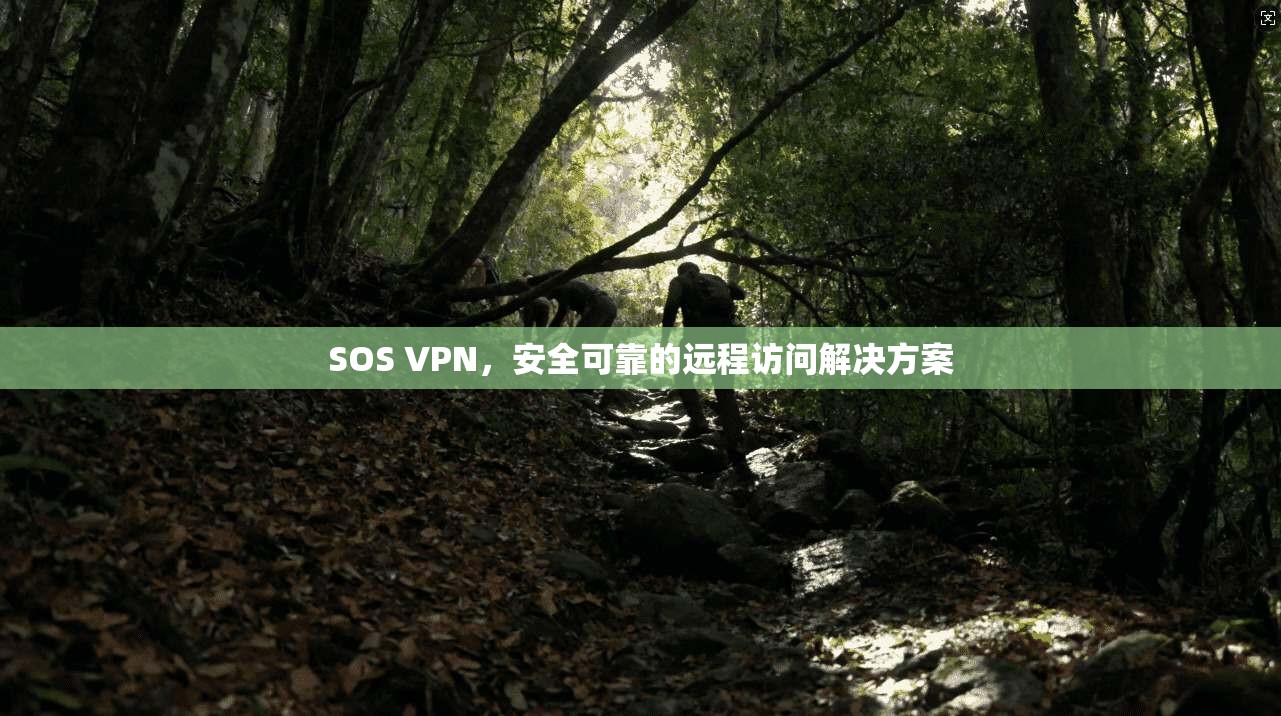 SOS VPN，安全可靠的远程访问解决方案  第1张