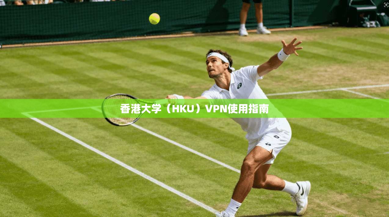 香港大学（HKU）VPN使用指南  第1张