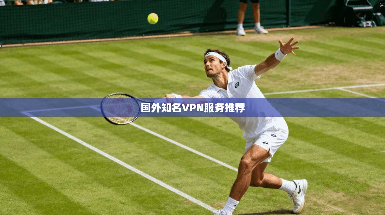 国外知名VPN服务推荐  第1张
