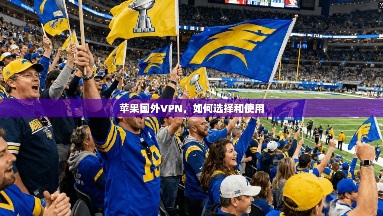 苹果国外VPN，如何选择和使用  第1张